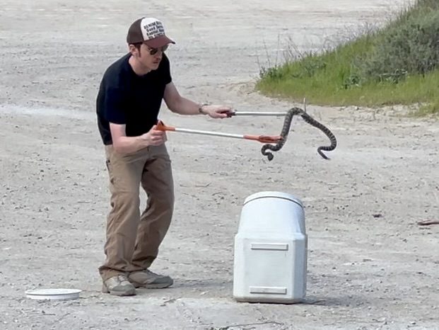 Derek Toth wrangling a snake on a film set